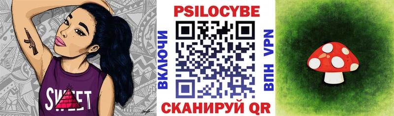 наркота  Нягань  Псилоцибиновые грибы Psilocybine cubensis 